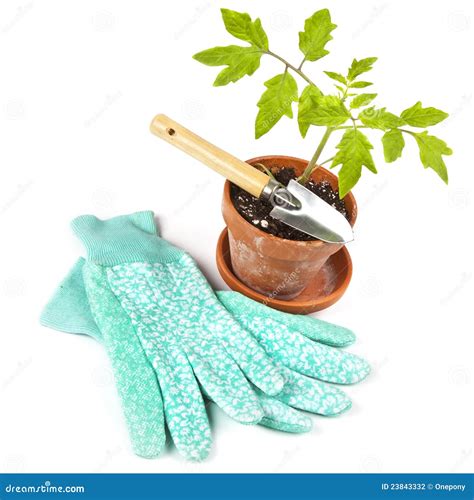 Gardening Time stock photo. Image of garden, flower, horticulture - 23843332