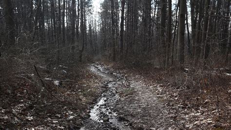 Weather in Rochester NY: Record set for warmest winter