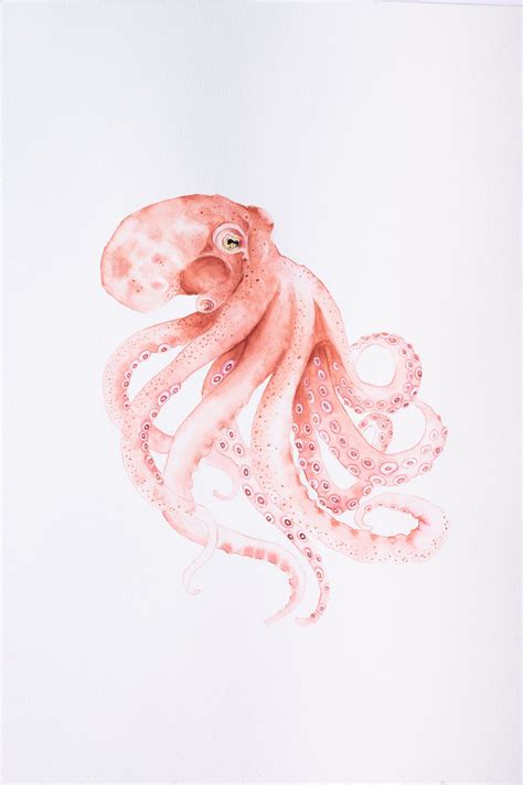 Octopus Watercolor Octopus Painting Octopus Wall Decor - Etsy