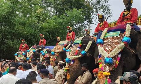 Eight elephants sent to Mysuru for Dasara festivities