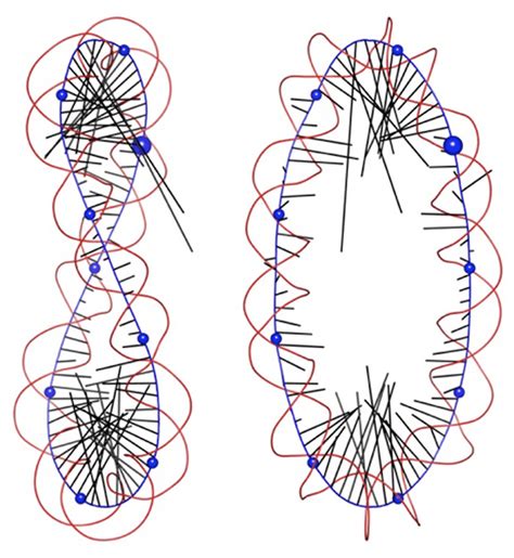 Two orthogonal views of data derived from a Curves+ analysis of the ...