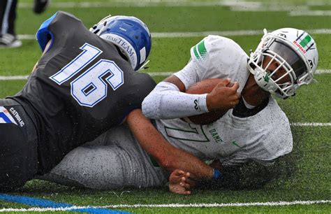 Grand Rapids Catholic Central football team loses rare home game ...