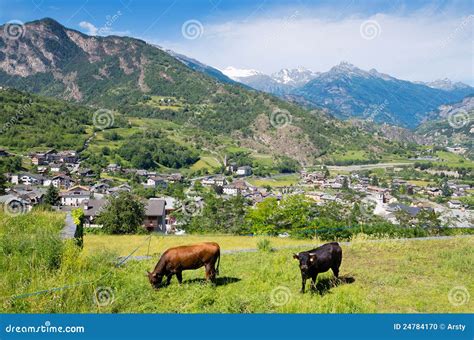 Aosta Valley. Italy stock photo. Image of meadow, aymavilles - 24784170