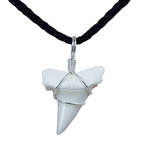 Shark Tooth Necklace for sale in UK | 53 used Shark Tooth Necklaces