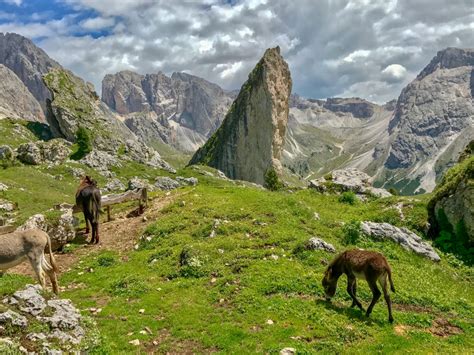 TWO GREAT HIKES IN VAL GARDENA IN THE ITALIAN DOLOMITES - You Should Go Here