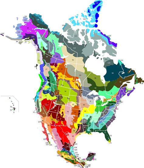 Terrestrial Ecoregions of North America - Vivid Maps | North america map, North america, America map