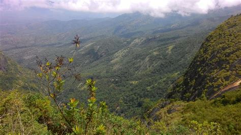 A Brief History of the Palani Hills | The Kodai Chronicle