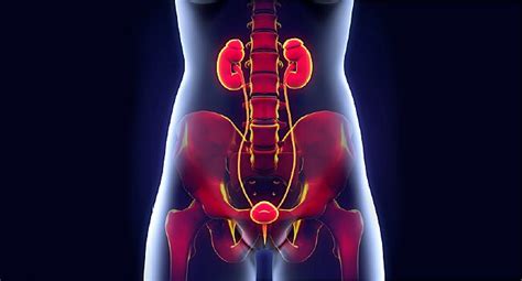 What causes burning urination? Causes and treatment