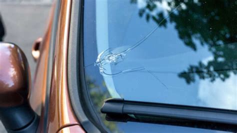 Windshield Repair Florida: Your Ultimate Guide - CarsCabs