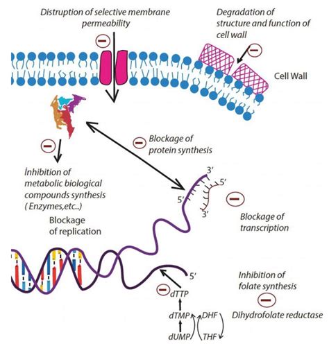 Antimicrobial And Antibacterial The Same