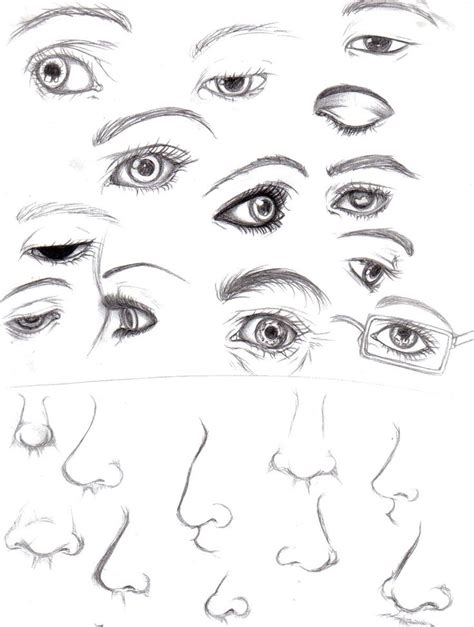 Eyes and Noses by Luzille on deviantART | Drawings, Nose drawing, Art