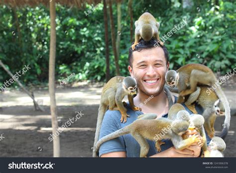 Handsome Ethnic Man Titi Monkeys Stock Photo 1241896378 | Shutterstock