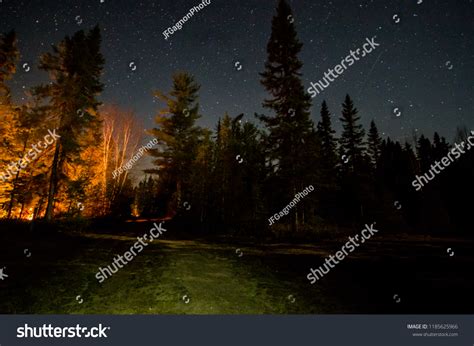 Camping Night Wood Sky Stars Stock Photo 1185625966 | Shutterstock