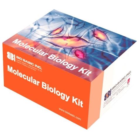 Molecular Biology Kit, Rapid Blood RNA Isolation Kit, 10 Preps | Southern Labware