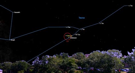 The 'morning star' Venus is at its brightest for 2020 this week. Here's how to see it. | Space