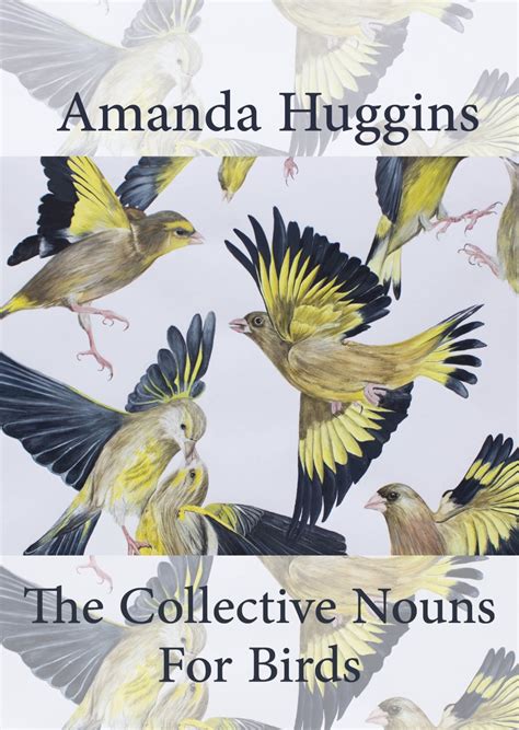 The Collective Nouns for Birds: a review – Ali Thurm