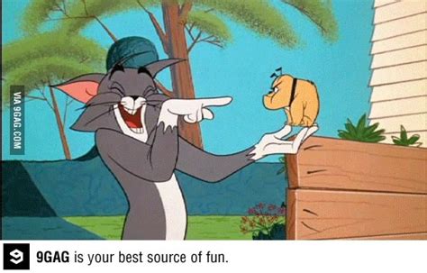 Every time I see little angry chichuachua | Tom and jerry pictures, Tom and jerry cartoon, Tom ...