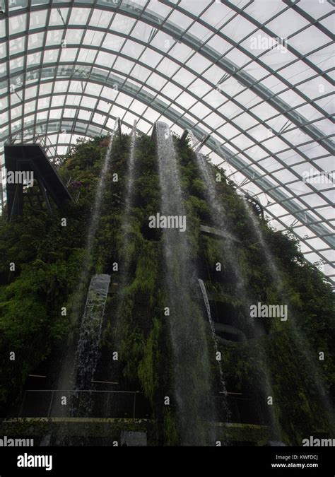 Cloud Forest Waterfall Stock Photo - Alamy