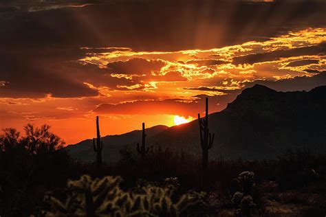 Golden Rays To The Sky Photograph by Saija Lehtonen - Fine Art America