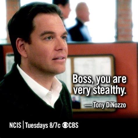 Tony Dinozzo Quotes. QuotesGram