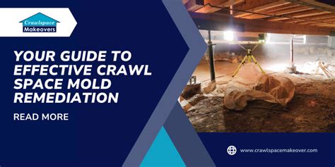 Your Guide to Effective Crawl Space Mold Remediation | Crawlspace Makeover