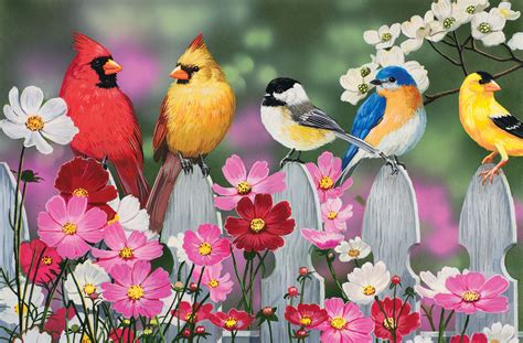 Songbirds, 30 Pieces, SunsOut | Puzzle Warehouse