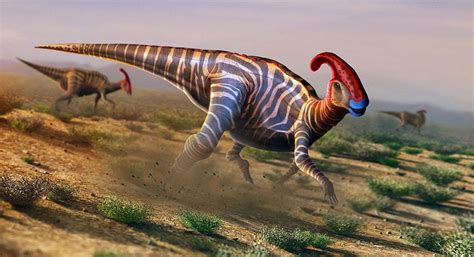 Artist’s impression:Parasaurolophus; vegetarian but ate seafood,too All ...