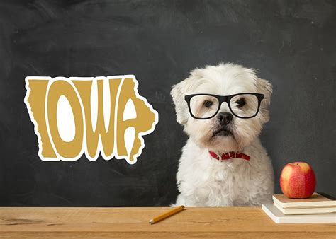 Iowa Is One Of The Top 10 Smartest States In The U.S. For 2023