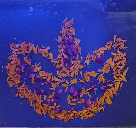 Best Flower Pattern Rangoli Design for Diwali