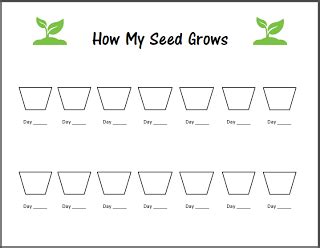 Let's Celebrate Spring! SEEDS | Homeschool science, Plant growth chart ...