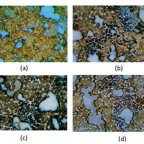 Microstructure of Refrence Portland cement clinker (with cement clay ...