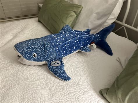 A whale shark plush that I got : r/sharks