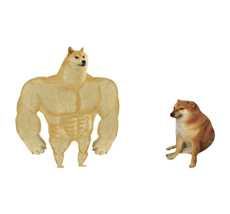 Create comics meme "doge , buff doge, swole doge" - Comics - Meme-arsenal.com