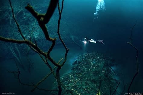 Underwater River Is A Scuba Diver's Dream -- Cenote Angelita, Mexico | HuffPost Life