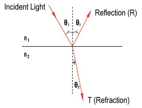 Reflection & Refraction of Light Tutorial