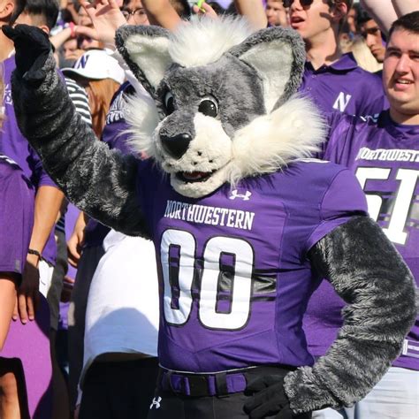 Willie the Wildcat | Mascot Hall of Fame