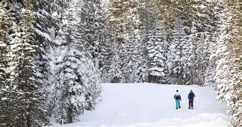 Snowshoeing in Mammoth Lakes - Visit Mammoth