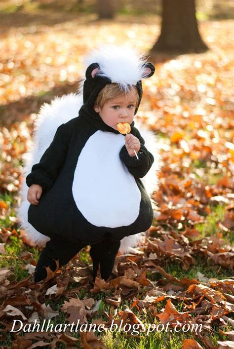 Skunk Costume | Skunk costume, Baby halloween costumes, Halloween costumes for kids