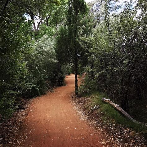 Bosque trail : r/Albuquerque