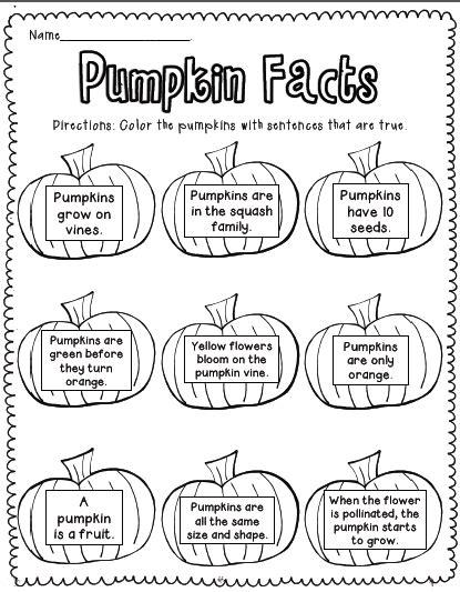 Pumpkin Freebies! | Fall lessons, Pumpkin lessons, First grade science