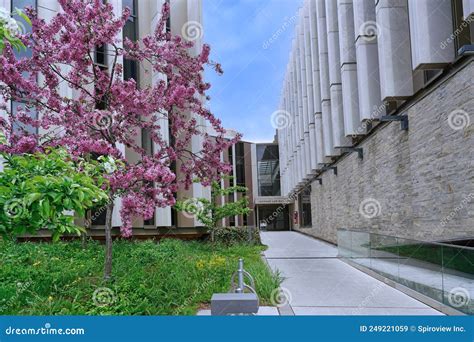 University of Toronto Law School Building Editorial Stock Image - Image ...