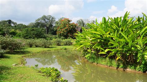 Xishuangbanna Tropical Botanical Garden | The Xishuangbanna … | Flickr