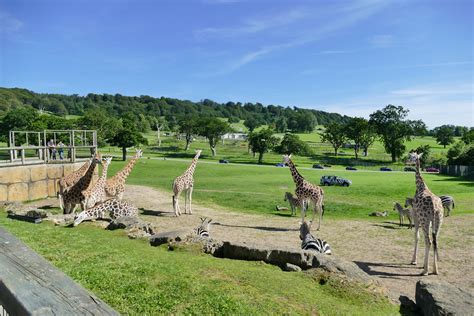 Longleat Safari Park | Longleat Safari Park | INOV8 Marketing | Flickr