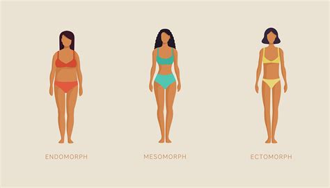 The 3 Body Types: Ectomorph, Mesomorph, Endomorph