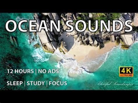 12 Hours of Relaxing Tropical Beach Waves in 4K - No Ads | Ideal sleep ...