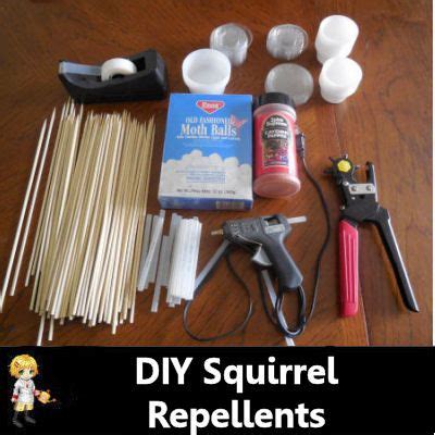 Squirrel Repellents - DIY project - The Gardening Cook | Repellent diy ...