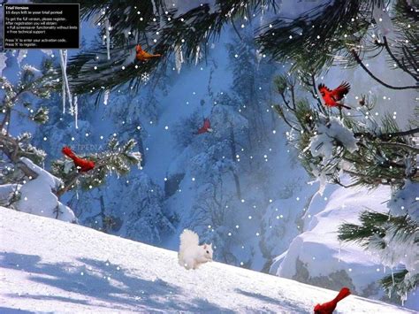 10 Top Winter Screensavers And Wallpapers FULL HD 1920×1080 For PC ...