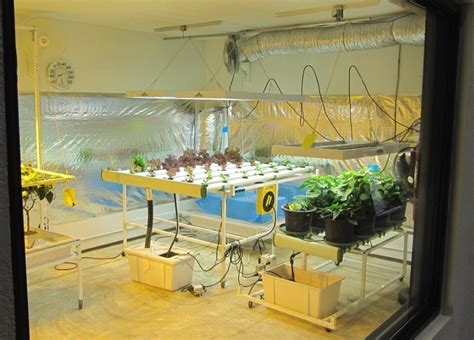 Building your own Indoor Grow Room part 1 | Hydroponics Blog - Hydroponics Articles ...