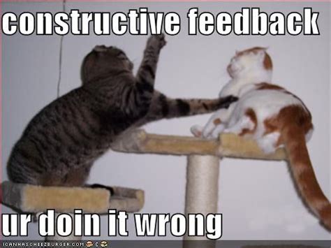 constructive feedback - Lolcats 'n' Funny Pictures of Cats - I Can Has ...