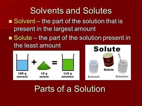 Understanding the Solute and Solvent Relationship